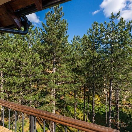 Apartment Grey Mountain Zlatibor Exteriér fotografie