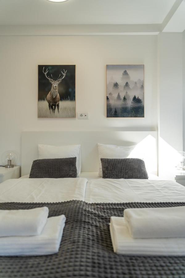 Apartment Grey Mountain Zlatibor Exteriér fotografie