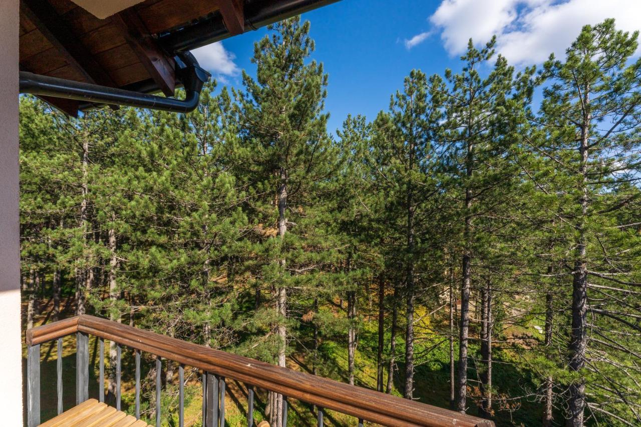 Apartment Grey Mountain Zlatibor Exteriér fotografie